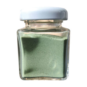 Grüner Wiesenzwerg Salz (Schachtelhalm)