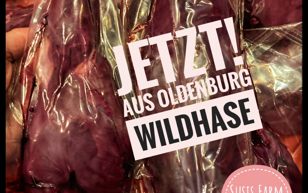 Jetzt Wildhase aus Oldenburg