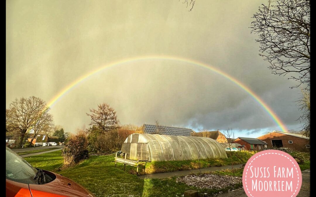 Regenbogen Naturschauspiel bei Susis Farm