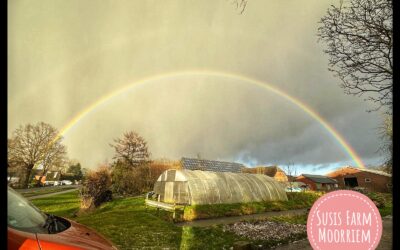 Regenbogen Naturschauspiel bei Susis Farm