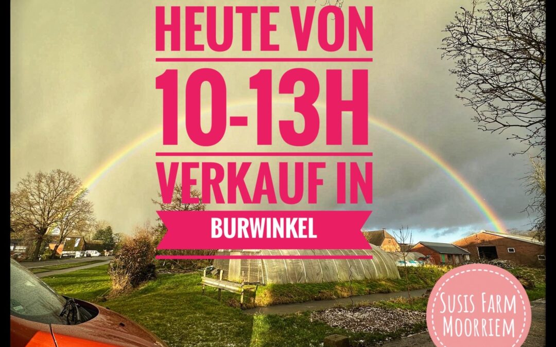 Heute von 10-13h Verkauf in Burwinkel