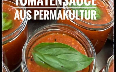 Hausgemachte vegane Tomatensauce von Susis Farm
