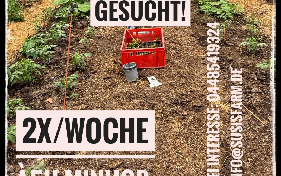 Stellenanzeige: Minijobber (m/w/d/) gesucht – werde Teil von Susis Farm