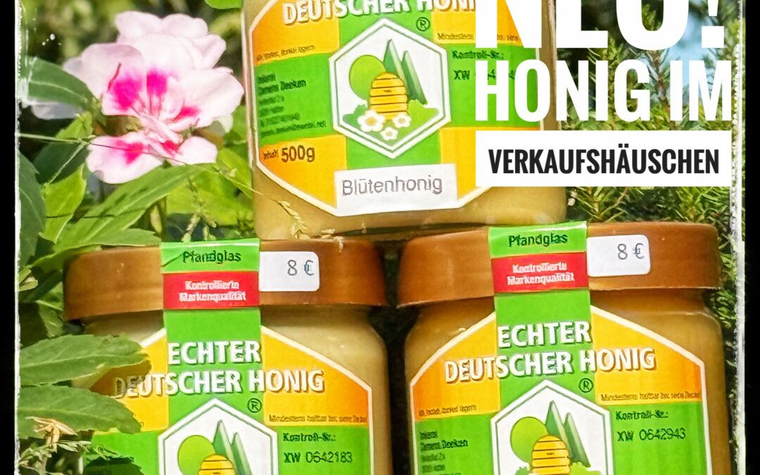Neue Produkte im Verkaufshäuschen! Honig